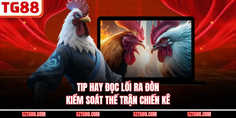 Tip hay đọc lối ra đòn kiểm soát thế trận chiến kê