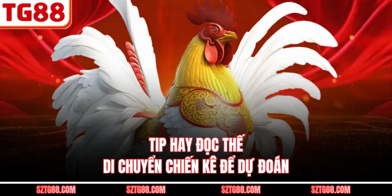 Tip hay đọc thế di chuyển chiến kê để dự đoán